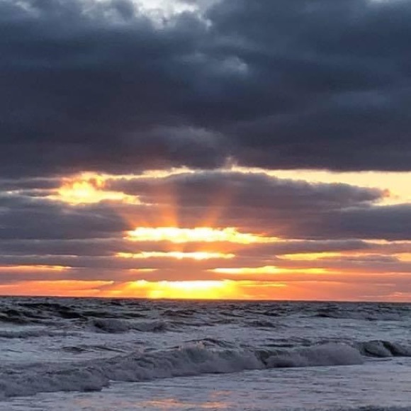 New listings daily! - Picture 2 of 2